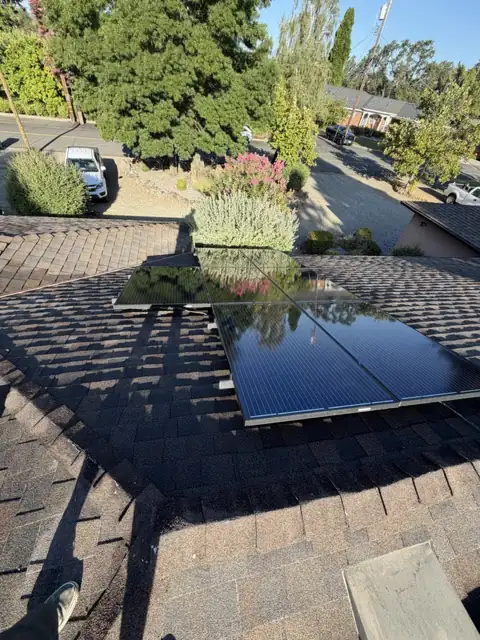 The same panels after cleaning, clear enough to reflect the trees